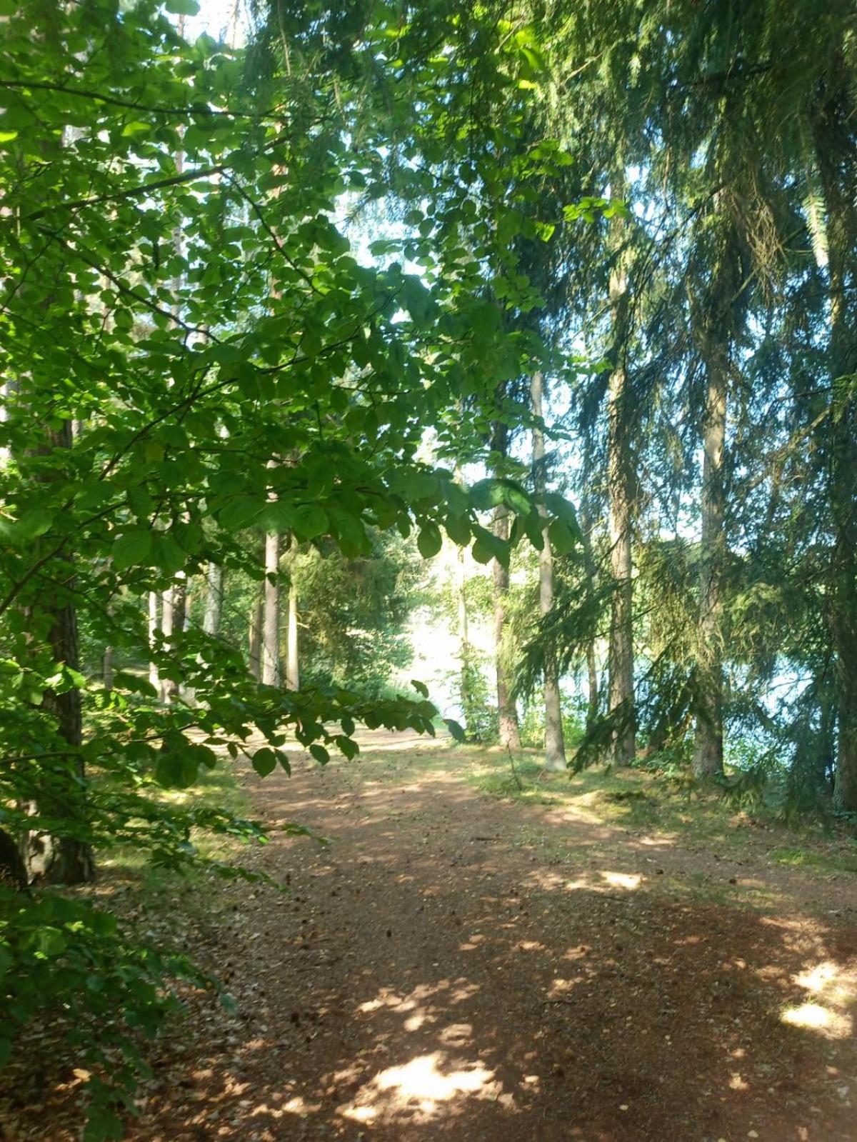 Domek Na Kaszubach, Borowy Mlyn, Jezioro Gwiazda, Sauna, 3 Exteriör bild
