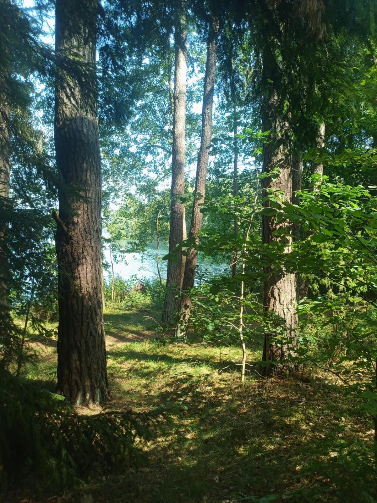 Domek Na Kaszubach, Borowy Mlyn, Jezioro Gwiazda, Sauna, 3 Exteriör bild